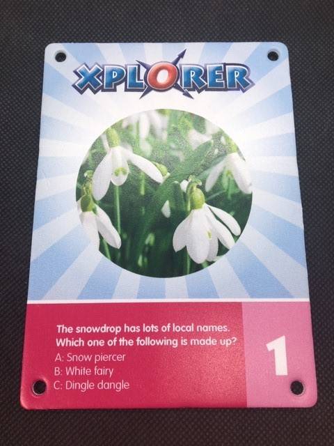 Xplorer Markers - Flowers