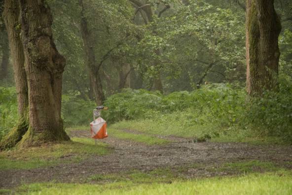 An image of a forest, a control kite can be seen in the foreground