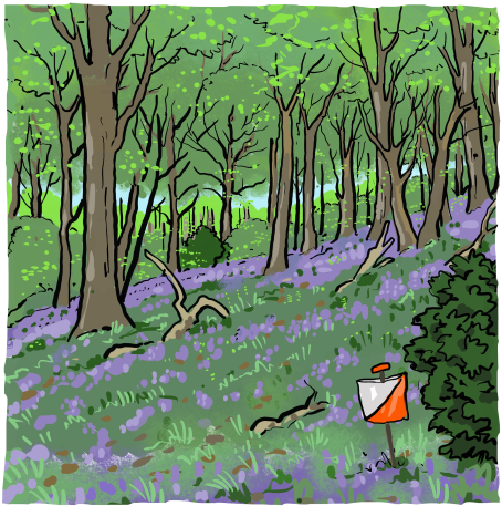 Orienteering Image