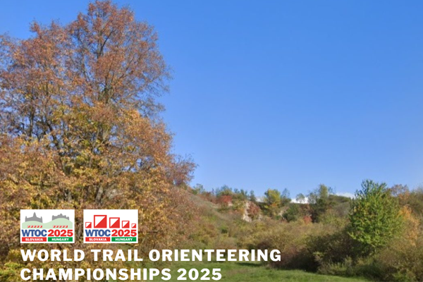 Orienteering Image