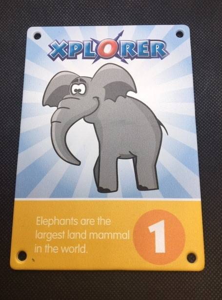 Xplorer Markers - Safari Animals