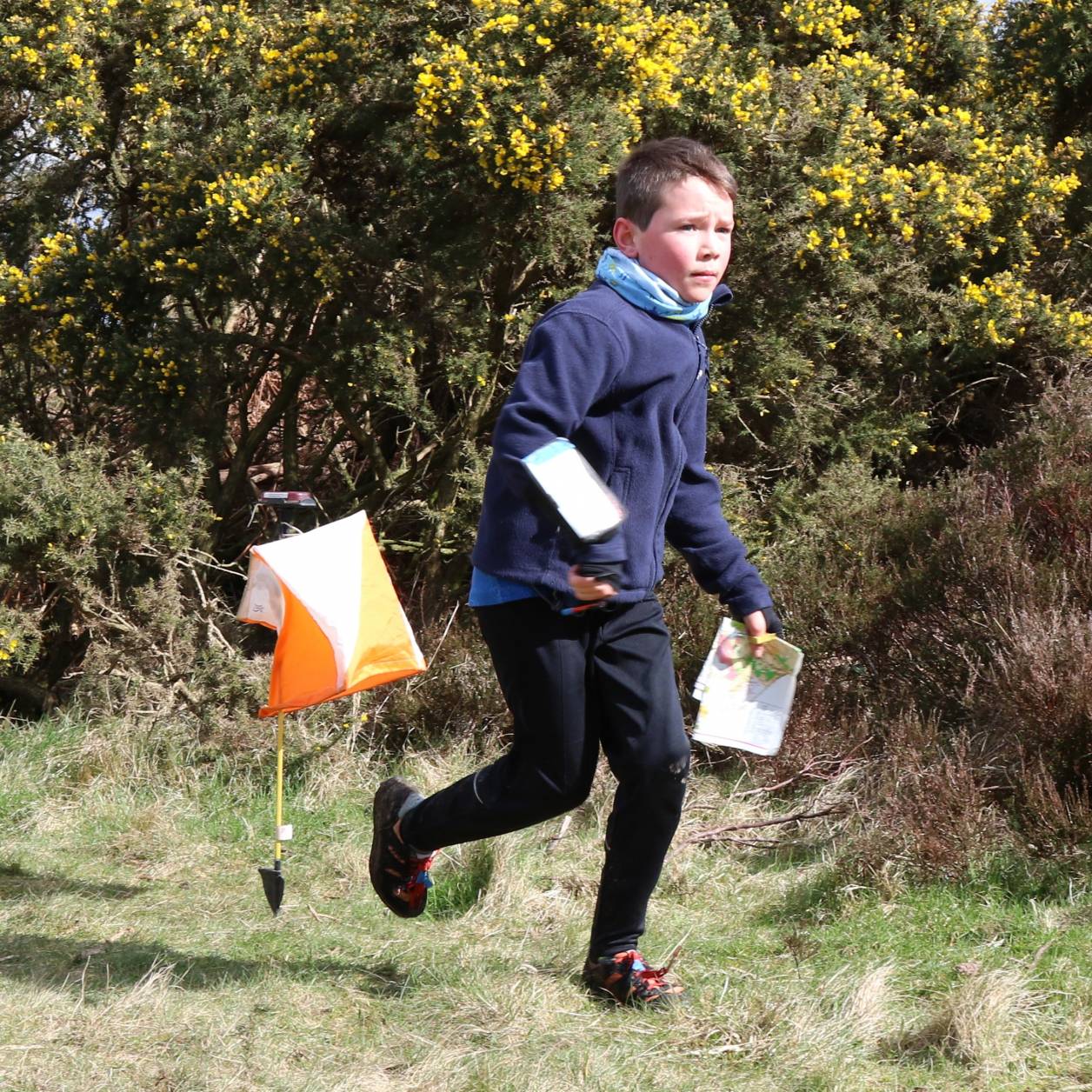 Orienteering Image