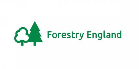 Forestry England and British Orienteering renew partnership